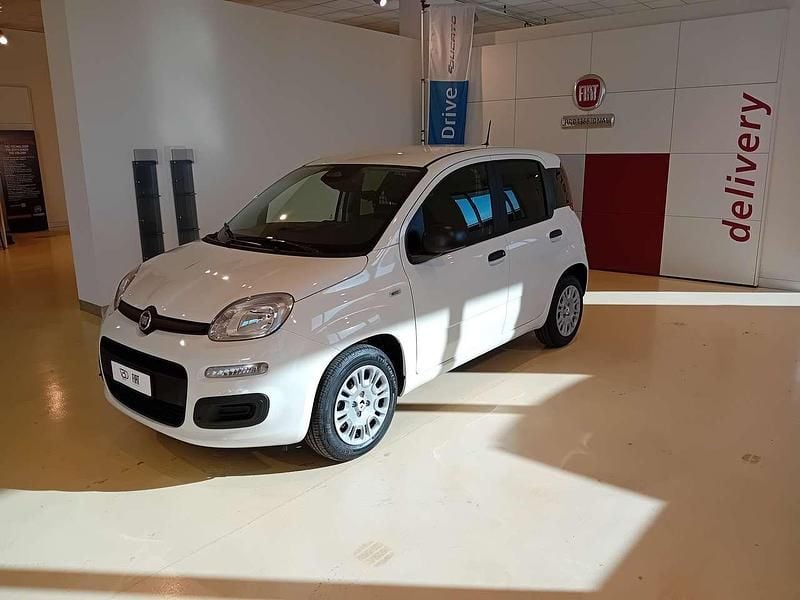 Nuova Fiat Panda Icon 69 CV (50 kW) 2025 Bianco pastello Utilitaria