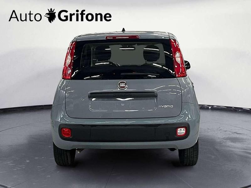 Usata Fiat Panda City Life 69 CV (50 kW) 2022 Grigio Berlina