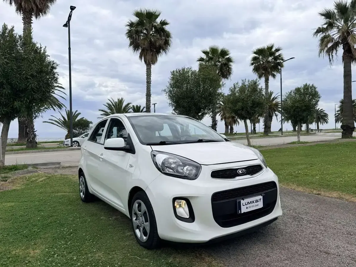 Usado Kia Picanto 65 CV (47 kW) 2016 Blanco Utilitario