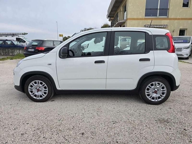 Usata Fiat Panda S 69 CV (50 kW) 2024 Bianco latte Utilitaria