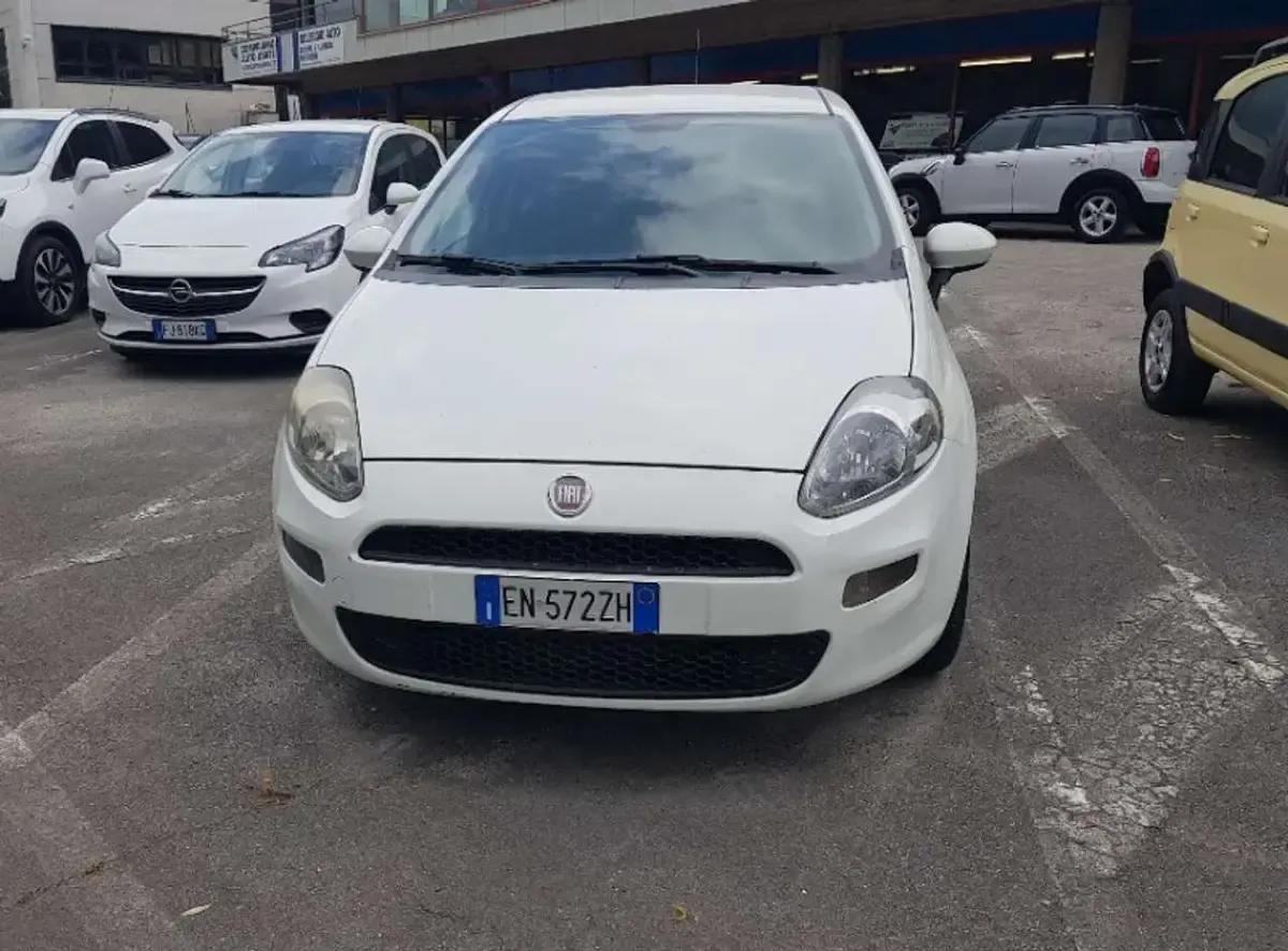 Usata Fiat Punto Pop 84 CV (61 kW) 2012 Bianco Utilitaria