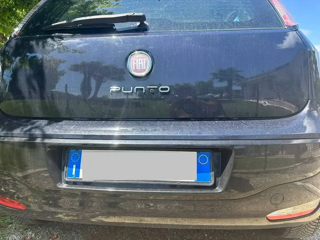 Usata Fiat Punto Evo 69 CV (50 kW) 2011 Blu/azzurro Utilitaria