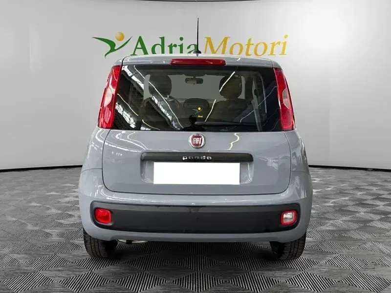 Usata Fiat Panda Lounge 69 CV (50 kW) 2020 Grigio Utilitaria