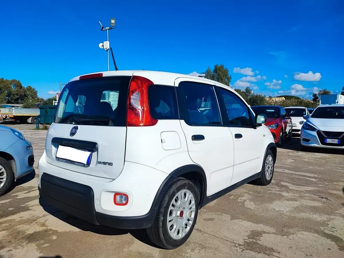 Usata Fiat Panda S 69 CV (50 kW) 2023 Bianco Utilitaria