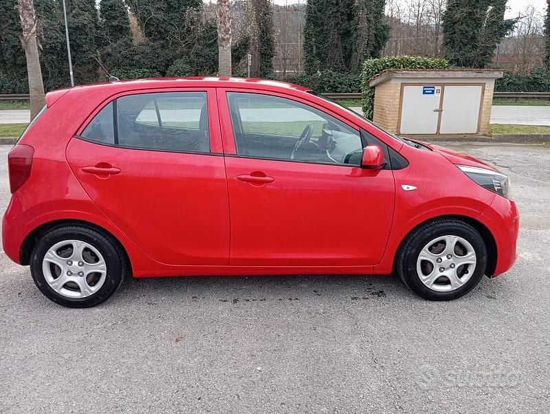 Usata Kia Picanto 2017 Rosso Utilitaria