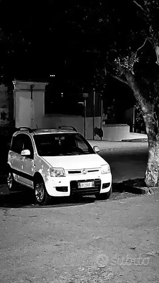 Usata Fiat Panda 60 CV (44 kW) 2010 Bianco Utilitaria