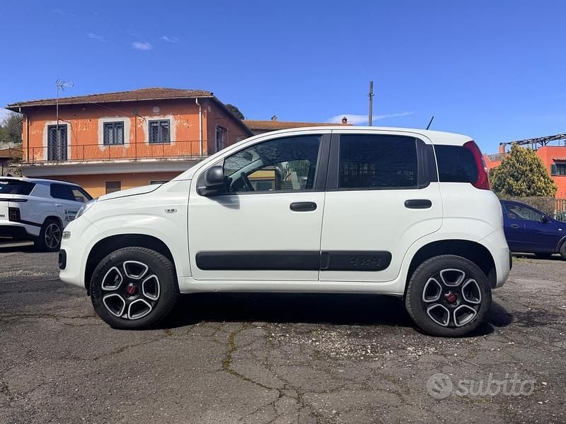 Usata Fiat Panda 4x4 85 CV (62 kW) 2023 Bianco Utilitaria