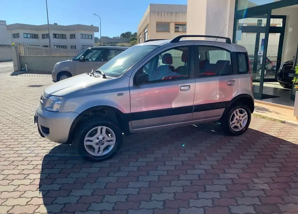 Usata Fiat Panda 4x4 Climbing 69 CV (50 kW) 2006 Grigio Utilitaria