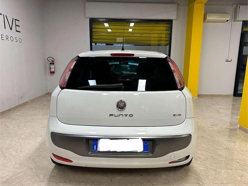 Usata Fiat Punto Evo Active 75 CV (55 kW) 2011 Bianco Utilitaria