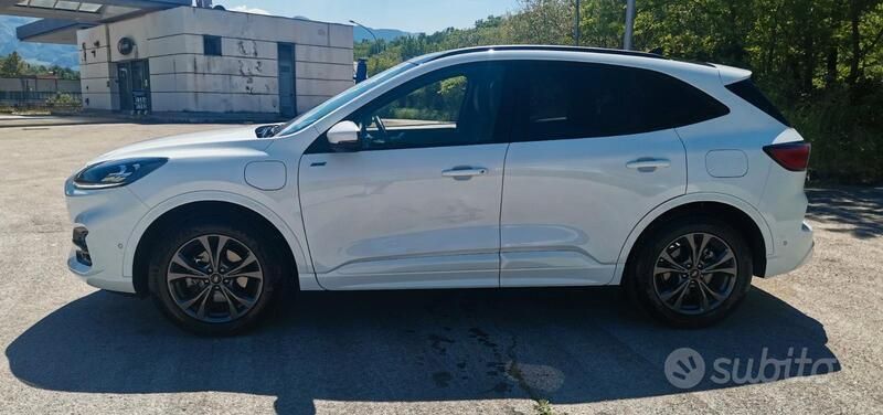 Usata Ford Kuga 225 CV (165 kW) 2023 Bianco SUV
