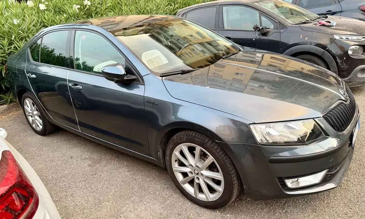 Usata Skoda Octavia Executive 110 CV (80 kW) 2016 Grigio Station wagon