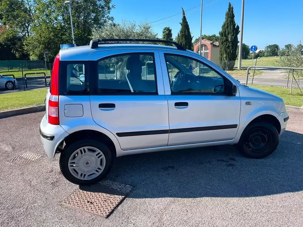 Usata Fiat Panda Dynamic 60 CV (44 kW) 2009 Grigio Utilitaria