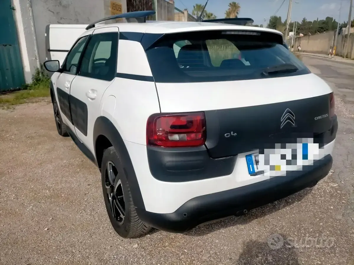 Usata Citroën C4 Shine 99 CV (72 kW) 2016 Bianco SUV