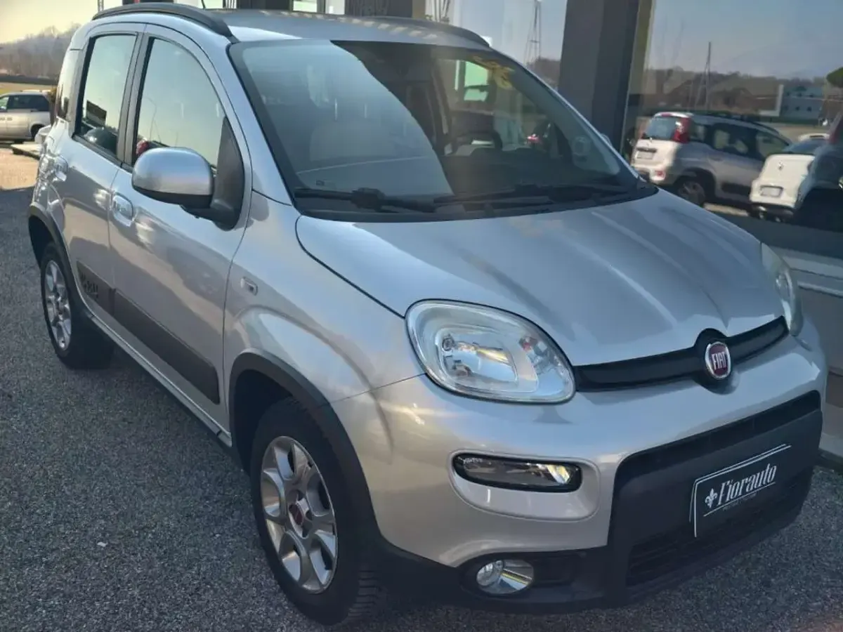 Usata Fiat Panda 4x4 Trekking 75 CV (55 kW) 2015 Argento Utilitaria