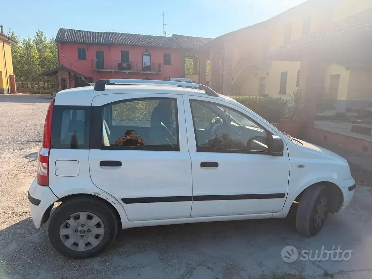 Usata Fiat Panda 60 CV (44 kW) 2010 Giallo Utilitaria