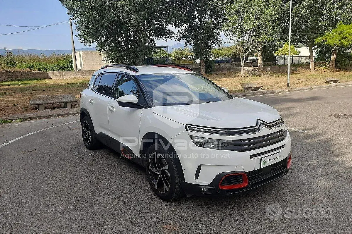 Usata Citroën C5 Aircross Business Class 131 CV (96 kW) 2019 Bianco SUV
