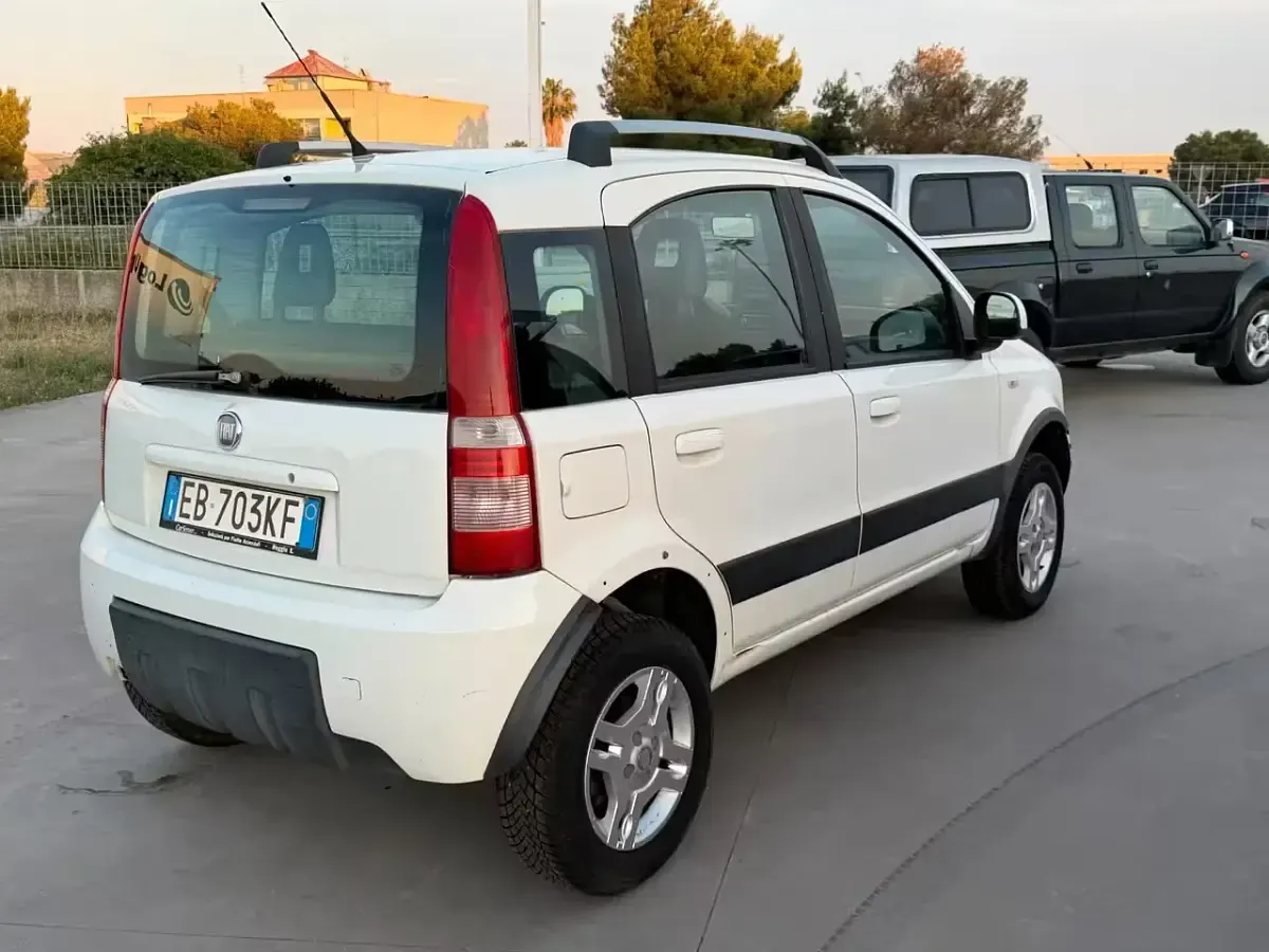 Usata Fiat Panda 4x4 Climbing 75 CV (55 kW) 2011 Bianco Utilitaria