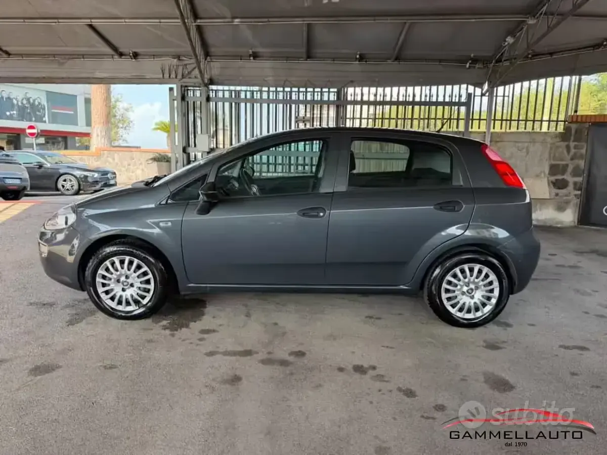 Usata Fiat Punto Lounge 69 CV (50 kW) 2016 Grigio Utilitaria