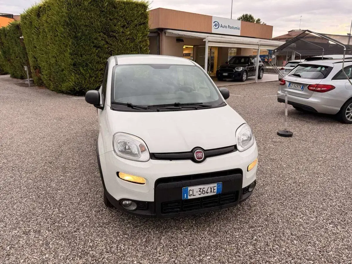 Usata Fiat Panda 69 CV (50 kW) 2022 Bianco Utilitaria