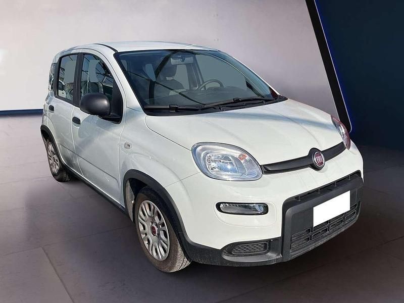 Usata Fiat Panda S 69 CV (50 kW) 2023 Bianco Utilitaria