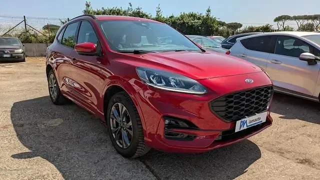 Usata Ford Kuga ST-Line 225 CV (165 kW) 2021 Rosso SUV