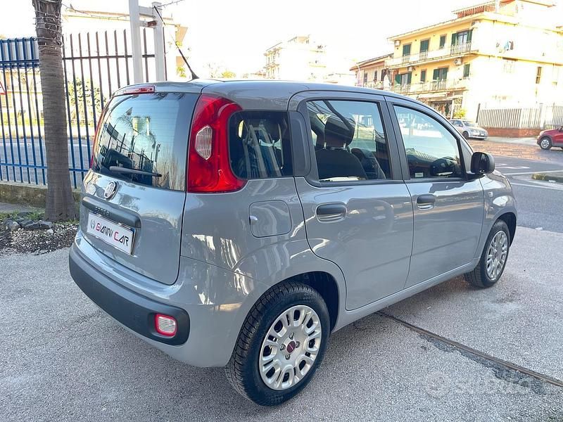 Usata Fiat Panda Easy 69 CV (50 kW) 2018 Grigio Utilitaria