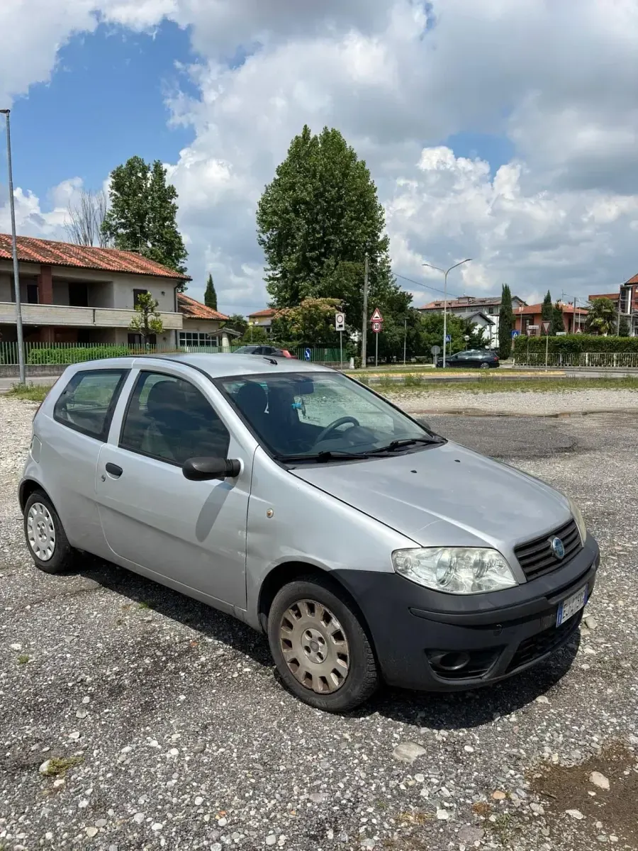 Usata Fiat Punto Active 59 CV (43 kW) 2011 Argento Utilitaria