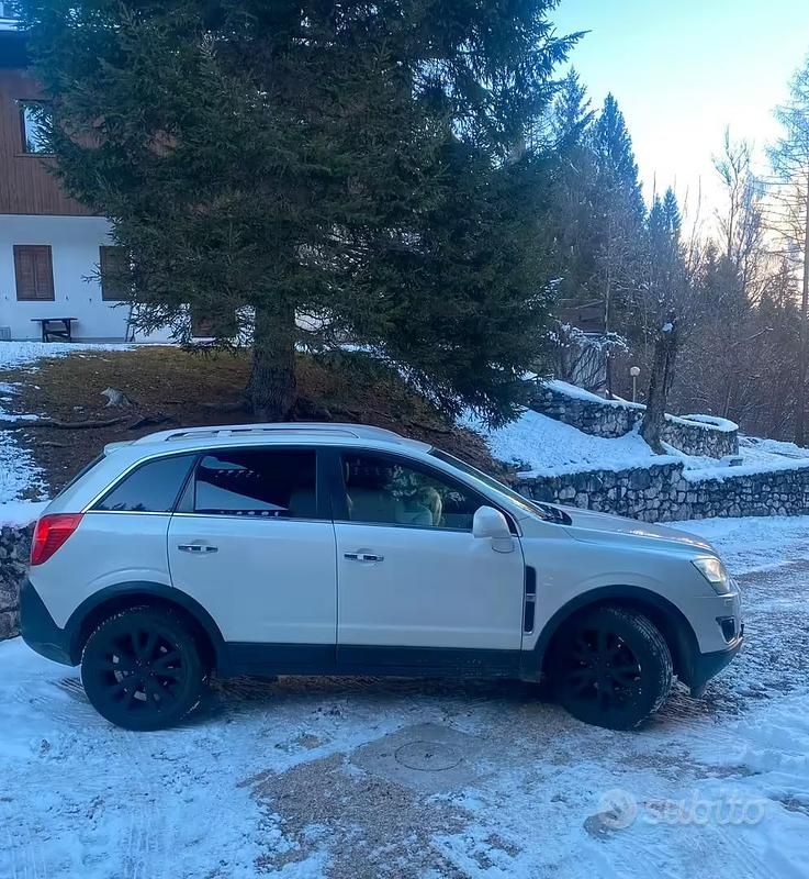 Usata Opel Antara 184 CV (135 kW) 2011 Bianco SUV