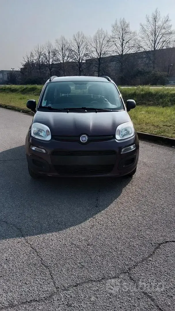 Usata Fiat Panda Classica 69 CV (50 kW) 2012 Viola Utilitaria