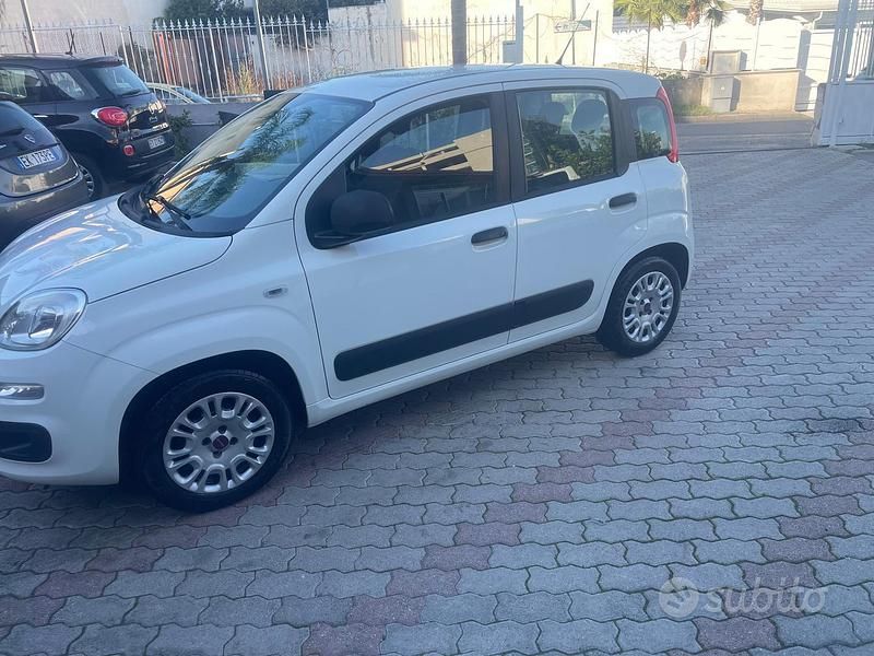 Usata Fiat Panda Easy 69 CV (50 kW) 2015 Beige Utilitaria
