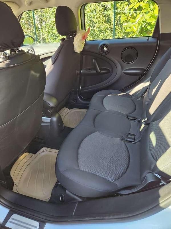 Usata Mini Cooper D Countryman 111 CV (81 kW) 2012 Bianco SUV