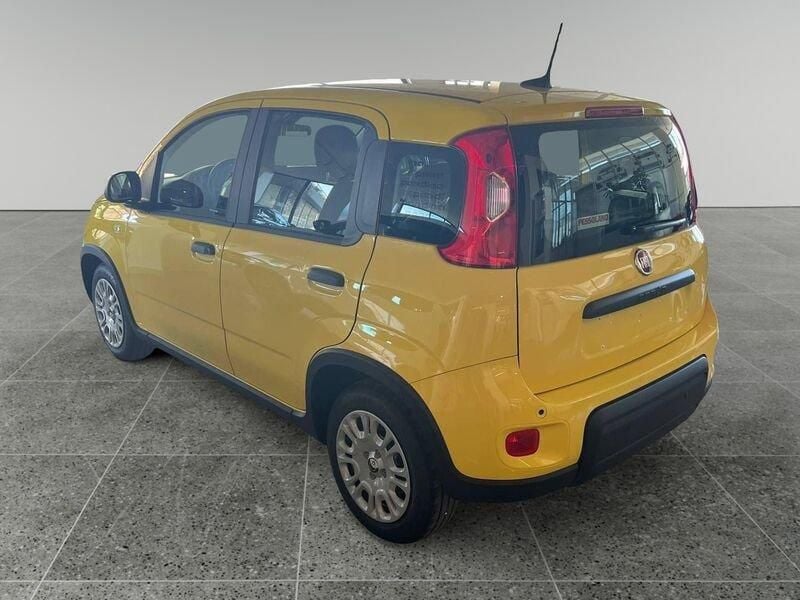 Usata Fiat Panda S 69 CV (50 kW) 2024 Giallo pastello Utilitaria