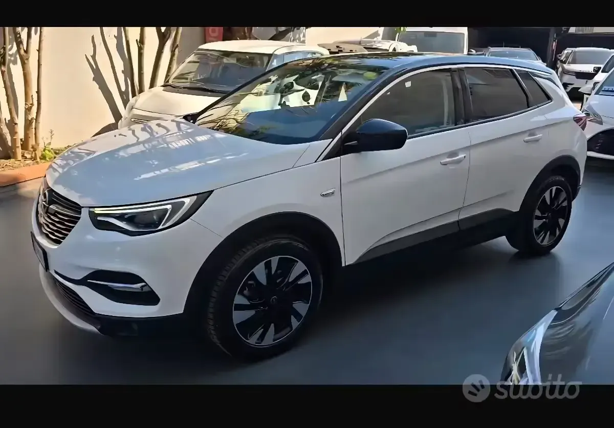 Usata Opel Grandland X 131 CV (96 kW) 2021 Bianco SUV