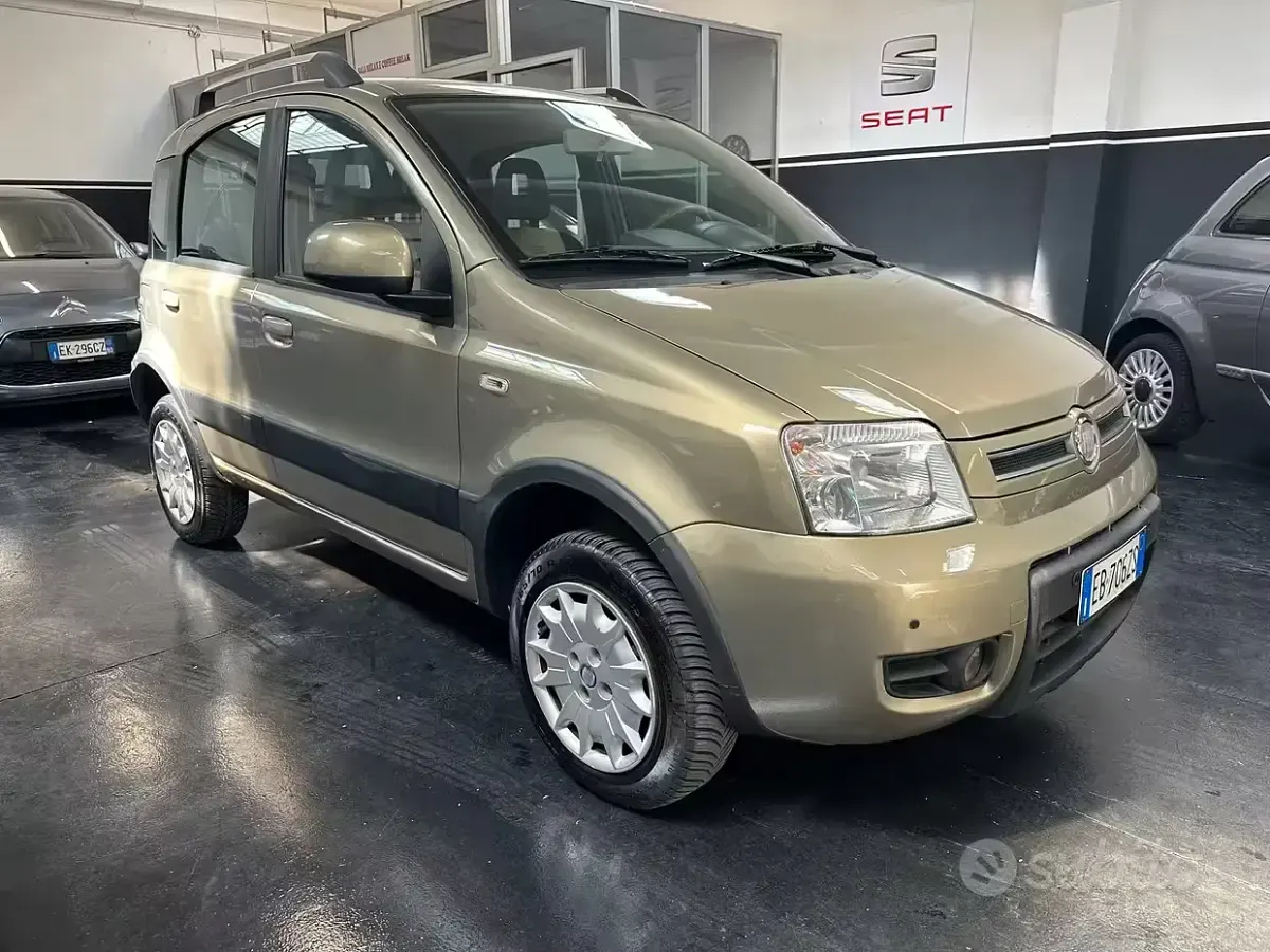 Usata Fiat Panda 4x4 Climbing 69 CV (50 kW) 2010 Beige Utilitaria