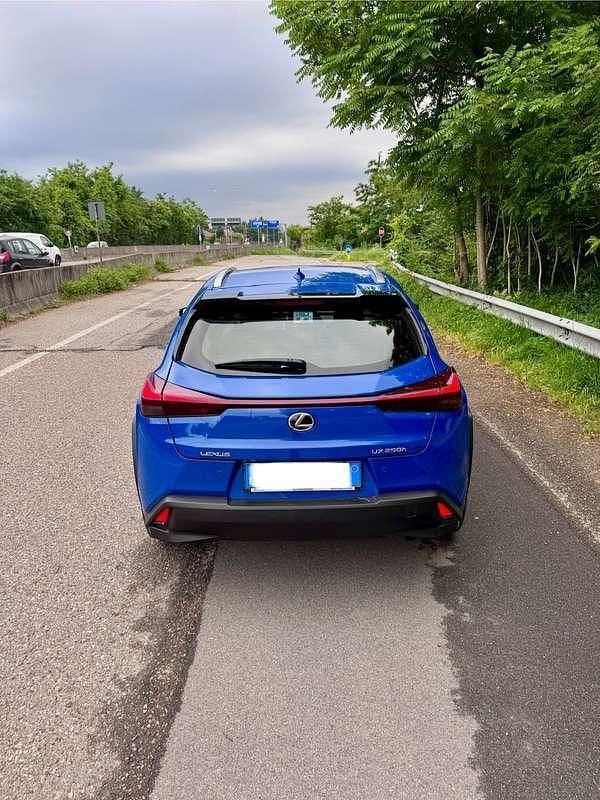 Usata Lexus UX 250h 145 CV (106 kW) 2024 SUV
