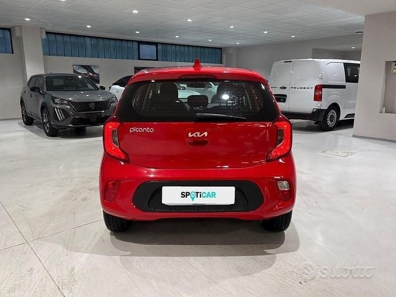 Usata Kia Picanto Urban 67 CV (49 kW) 2023 Rosso Utilitaria