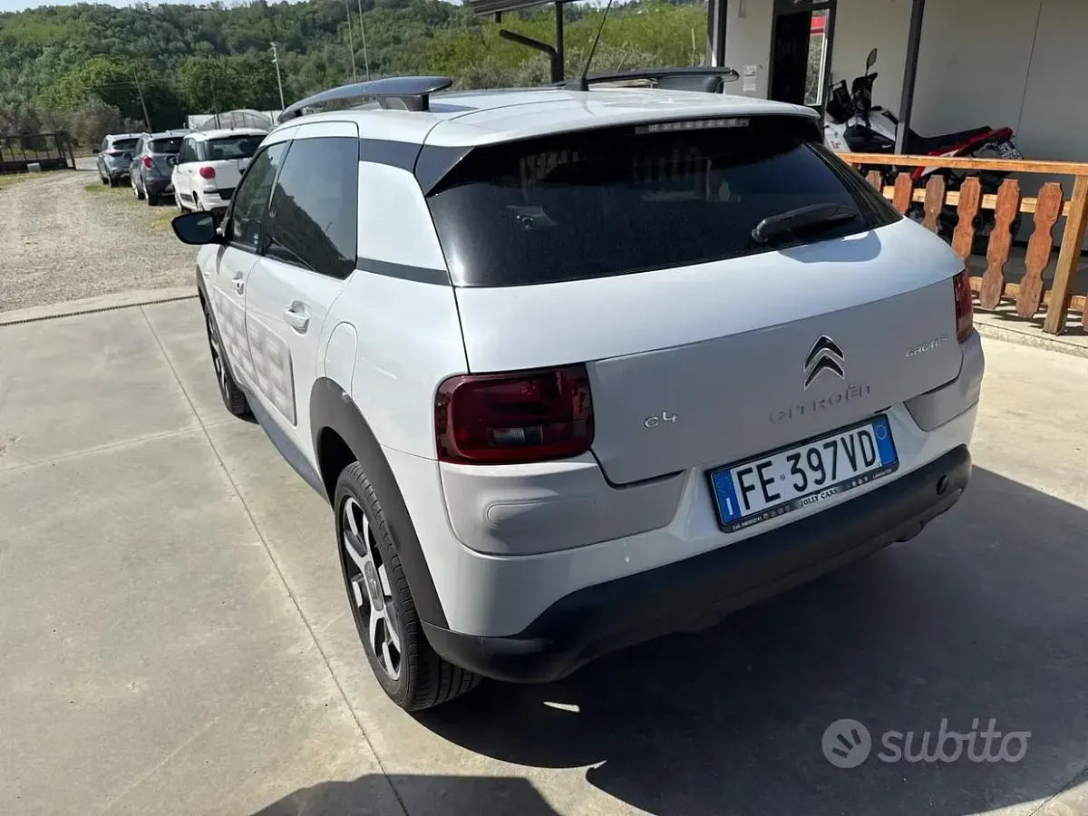 Usata Citroën C4 Cactus Shine 99 CV (72 kW) 2016 Bianco Utilitaria
