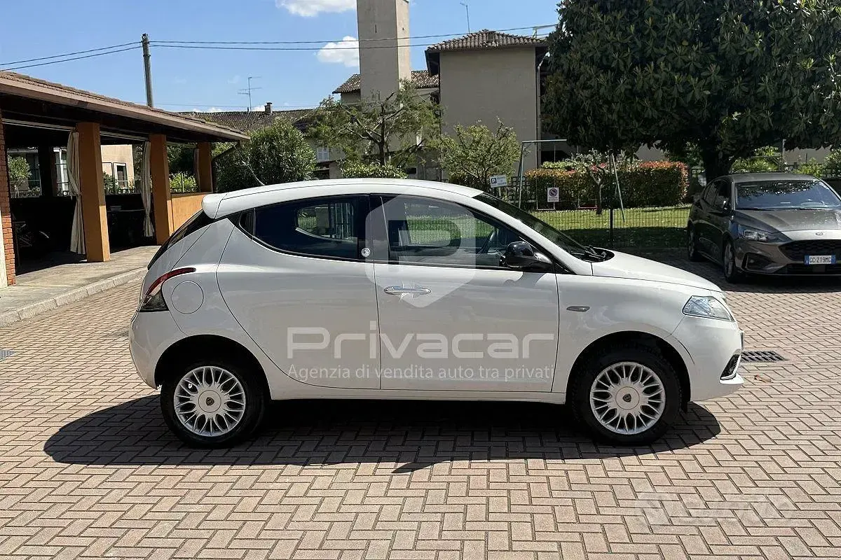 Usata Lancia Ypsilon Platinum 85 CV (62 kW) 2016 Bianco Utilitaria