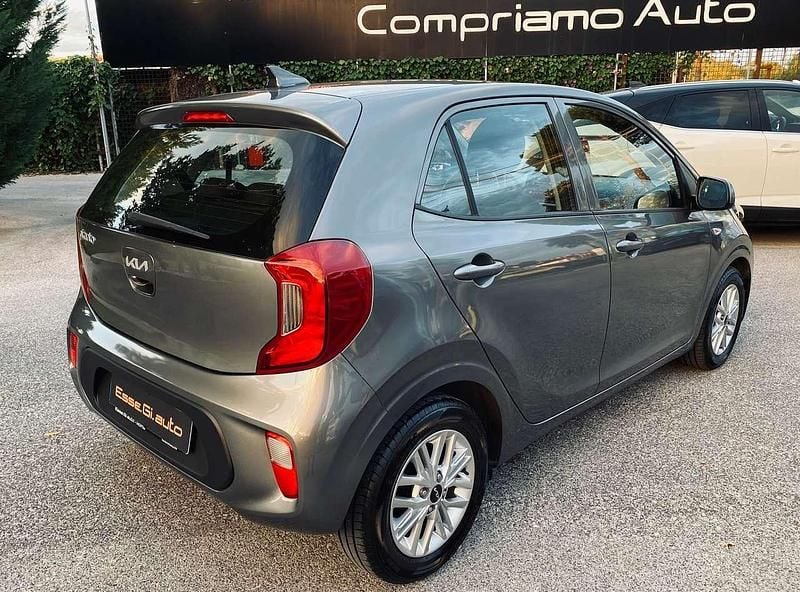 Usata Kia Picanto Urban 67 CV (49 kW) 2023 Grigio Utilitaria