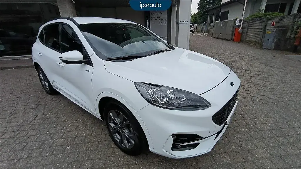 Usata Ford Kuga ST-Line X 190 CV (139 kW) 2023 Bianco SUV
