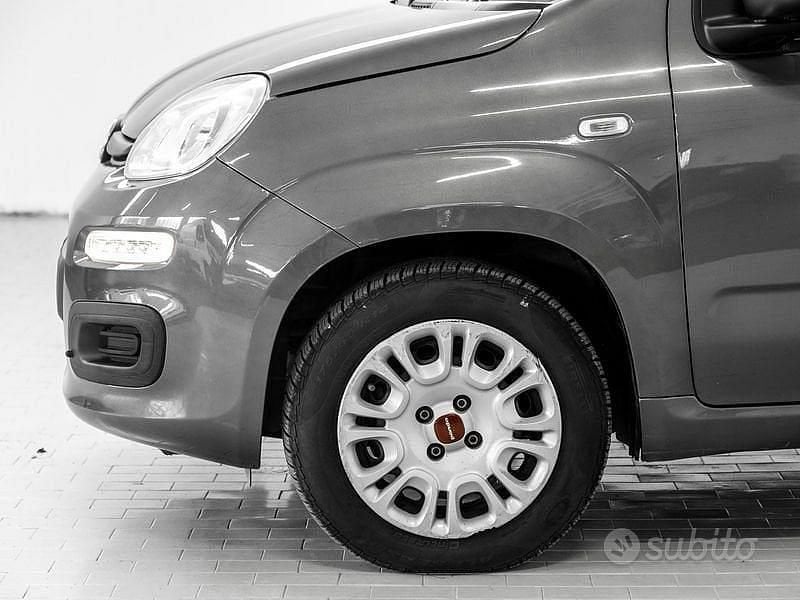 Usata Fiat Panda Easy 69 CV (50 kW) 2019 Grigio Utilitaria