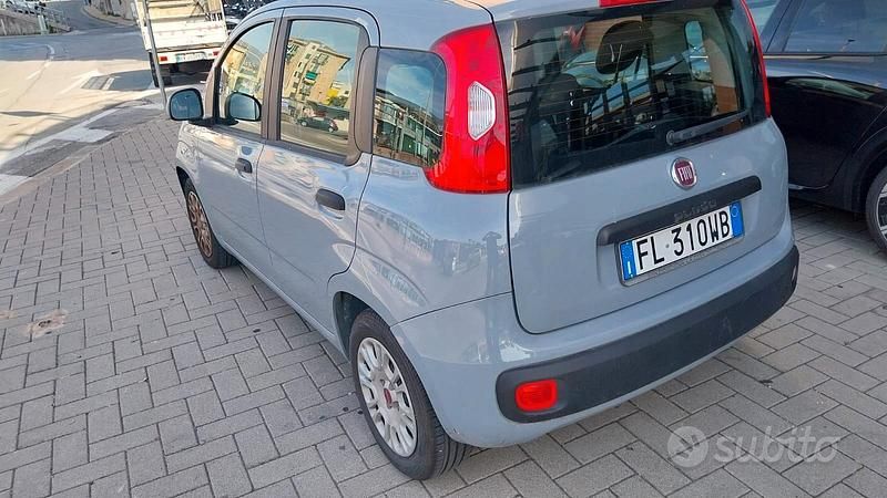 Usata Fiat Panda Easy 69 CV (50 kW) 2017 Grigio Utilitaria