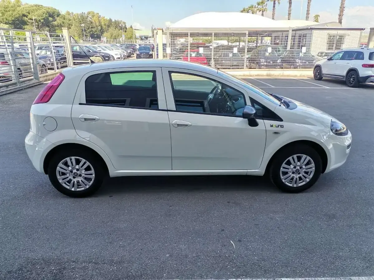 Usata Fiat Punto Young 69 CV (50 kW) 2015 Bianco Utilitaria