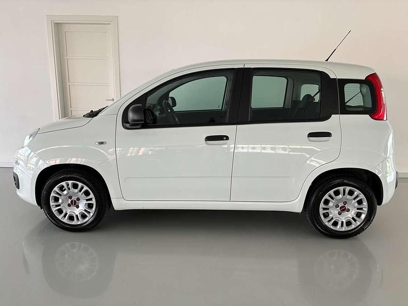 Usata Fiat Panda Easy 69 CV (50 kW) 2019 Bianco Utilitaria