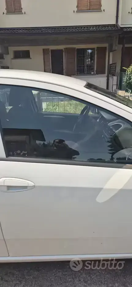 Usata Fiat Punto 77 CV (56 kW) 2015 Utilitaria