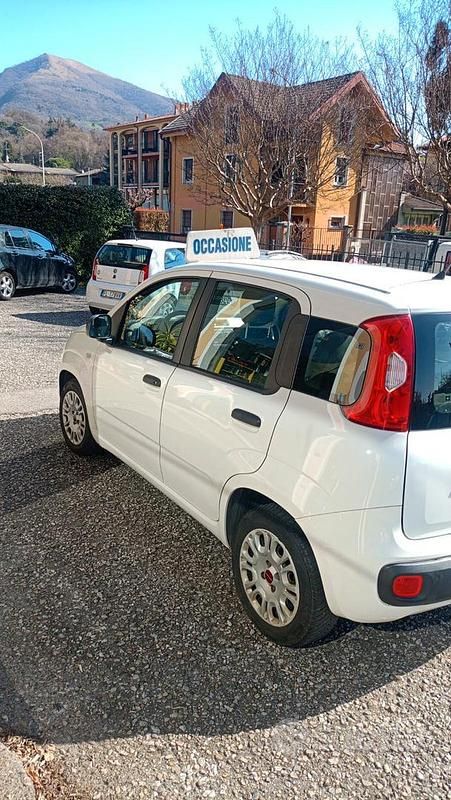 Usata Fiat Panda Lounge 69 CV (50 kW) 2016 Bianco Utilitaria