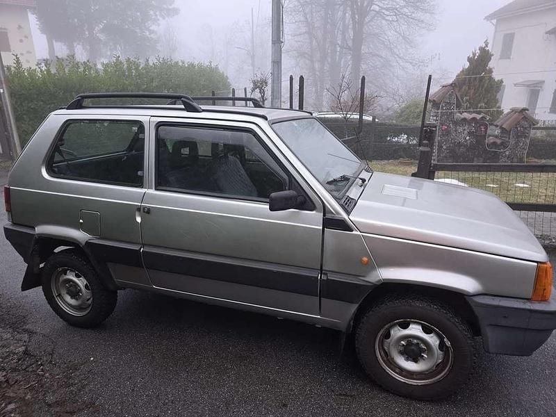 Usata Fiat Panda 4x4 Trekking 54 CV (39 kW) 2001 Grigio Utilitaria