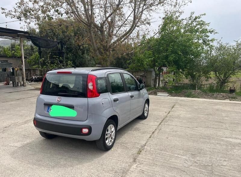 Usata Fiat Panda 75 CV (55 kW) 2019 Grigio Utilitaria