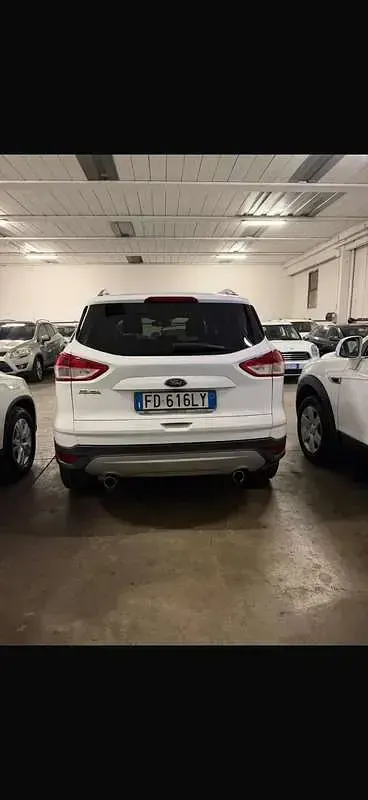 Usata Ford Kuga Titanium 120 CV (88 kW) 2016 Bianco SUV