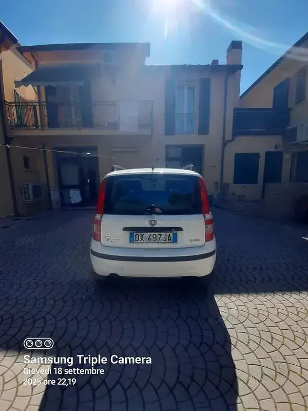 Usata Fiat Panda Dynamic 60 CV (44 kW) 2009 Bianco Utilitaria